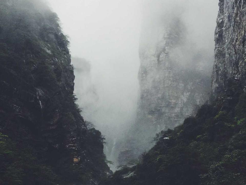 动态图片